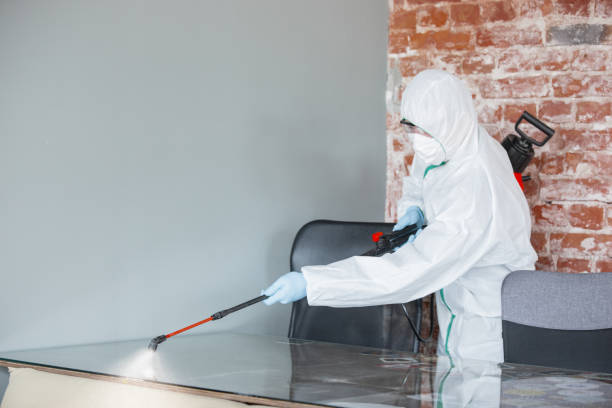 Why You Should Choose Our Mold Remediation Services in Carpendale, WV